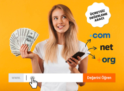 Domain Sahibi Sorgulama